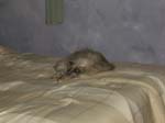 DSCF0820