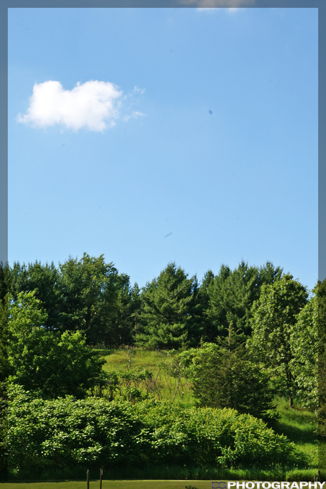 IMG_6222_resize