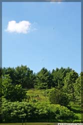 IMG_6222_resize