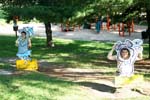 IMG_1878_resize