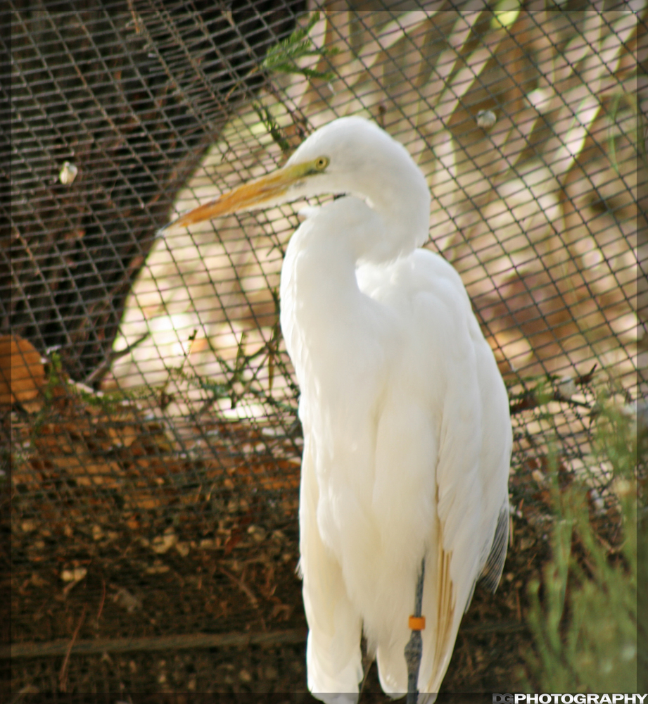 IMG_3361_resize