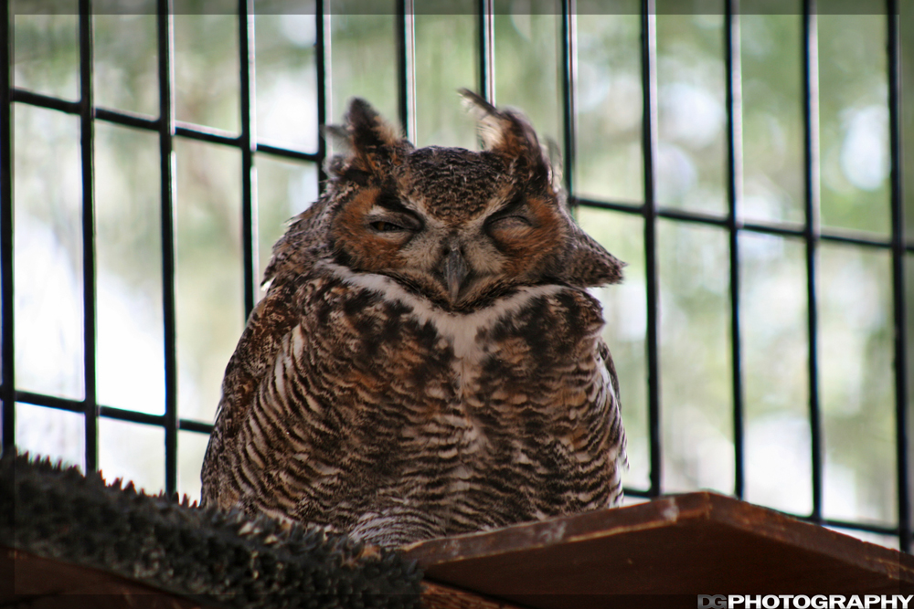 IMG_3364_resize