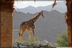 IMG_3434_resize
