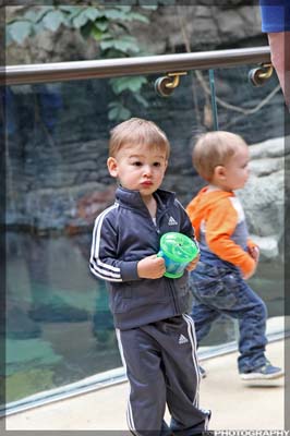 IMG_2552_resize