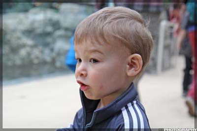 IMG_2554_resize