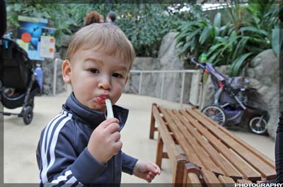 IMG_2555_resize