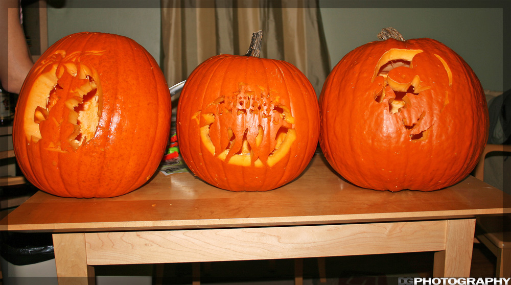 IMG_2954_resize